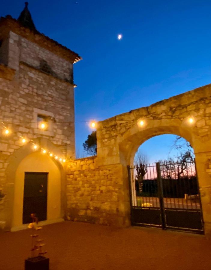 Domaine De Lejos - Portes D'Albi Lamillarie Экстерьер фото