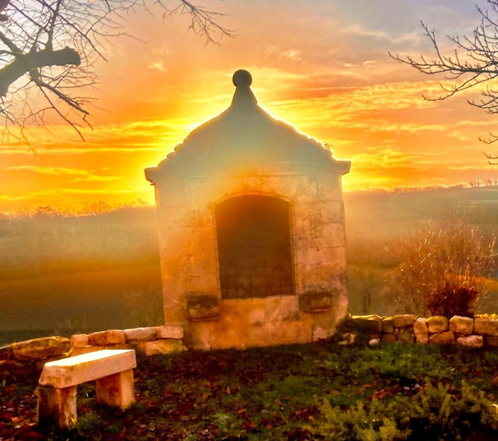 Domaine De Lejos - Portes D'Albi Lamillarie Экстерьер фото